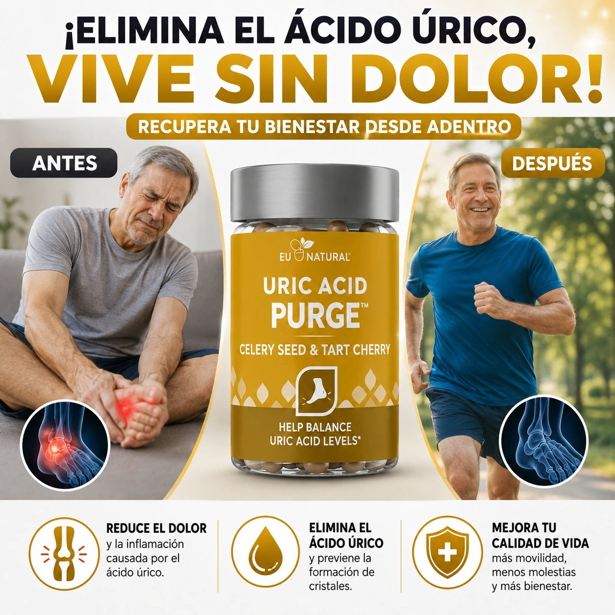 Suplemento Purga de Ácido Úrico Muévete sin Límites