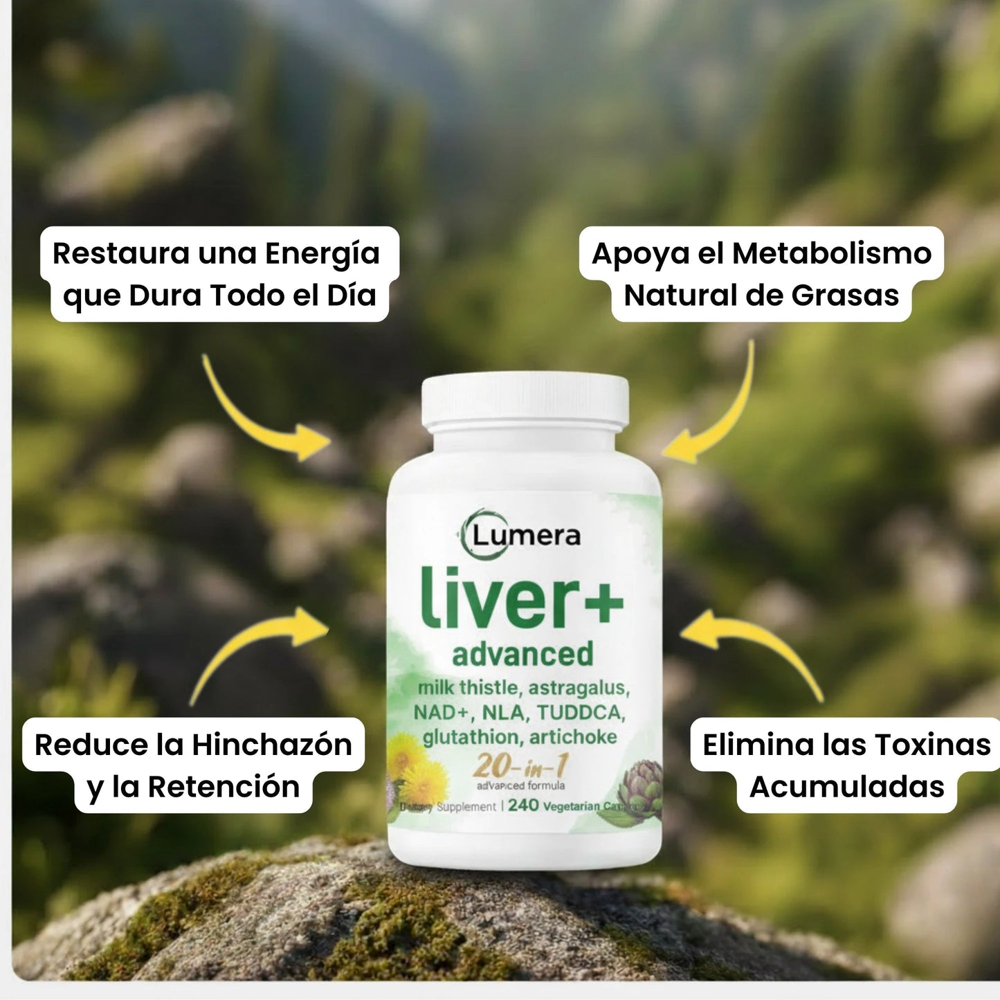 Liver+ Avanzado - apoya tu hígado